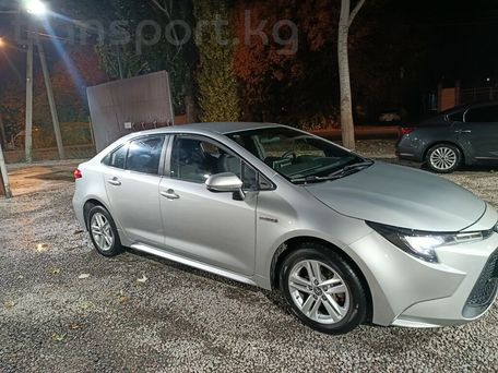 Toyota Levin, 2020 — сүрөт 3
