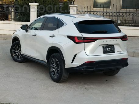 Lexus NX, 2022 — photo 6