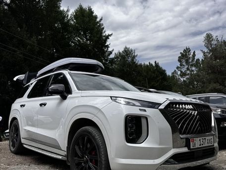 Hyundai Palisade, 2019 — сүрөт 2