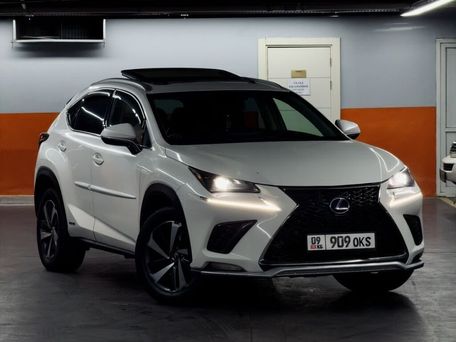 Lexus NX, 2020 — сүрөт 3