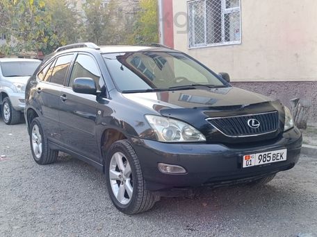 Lexus RX, 2004 — 照片 3