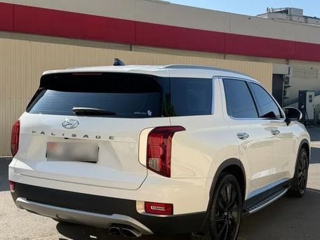 Hyundai Palisade, 2019 — photo 7