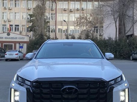 Hyundai Palisade, 2022 — сүрөт 4