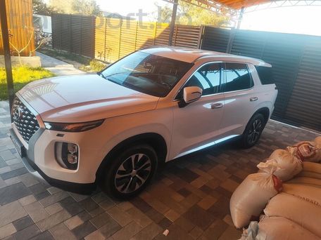 Hyundai Palisade, 2020 — photo 2