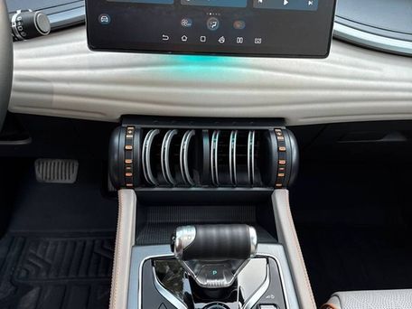 BYD Yuan Plus, 2024 — 照片 9