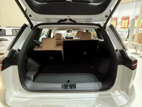 GAC Trumpchi GS4, 2026 — 照片 10