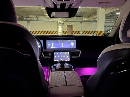 Hongqi E-HS9, 2021 — photo 10
