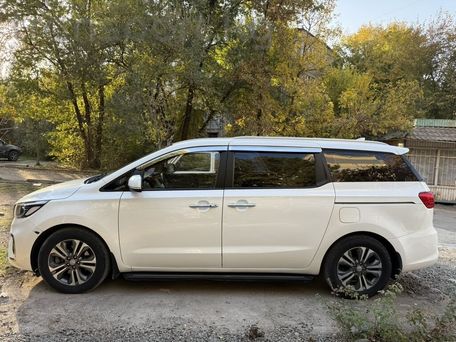 Kia Carnival, 2019 — photo 2