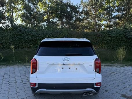 Hyundai Palisade, 2020 — photo 6