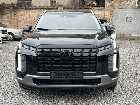 Hyundai Palisade, 2019