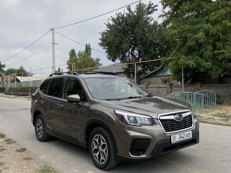 Subaru Forester, 2019 — фото 6