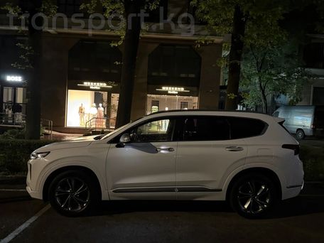 Hyundai Santa Fe, 2018 — фото 10