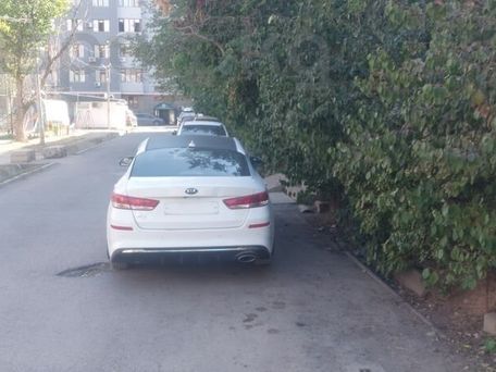 Kia Optima, 2020