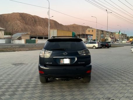 Lexus RX, 2003 — 照片 4