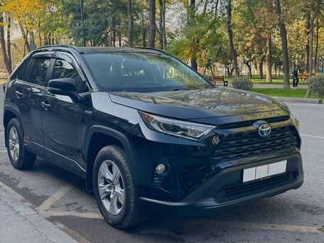 Toyota RAV4, 2019 — фото 1