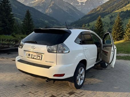 Lexus RX, 2004 — сүрөт 19