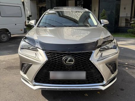Lexus NX, 2019 — сүрөт 2