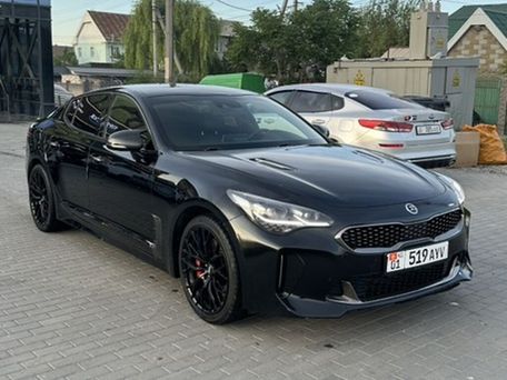 Kia Stinger, 2019 — photo 8