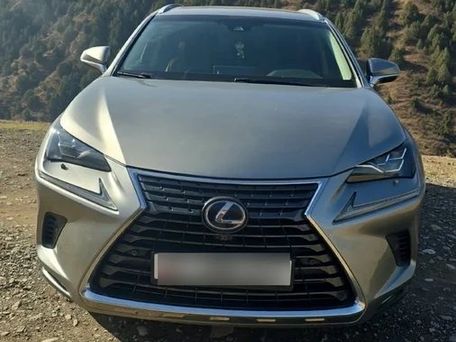Lexus NX, 2019 — фото 1