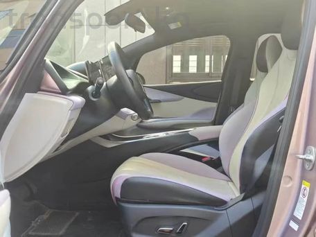 BYD Dolphin, 2021 — 照片 8