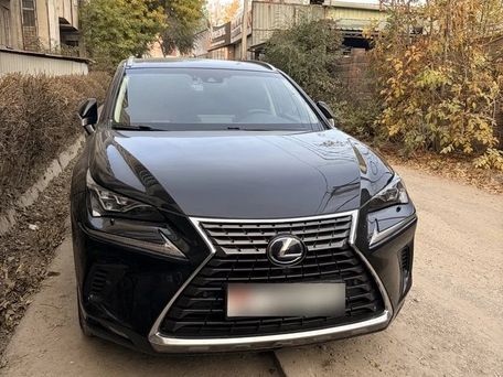 Lexus NX, 2019 — photo 1