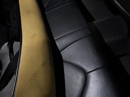 Toyota Camry, 2018 — фото 12
