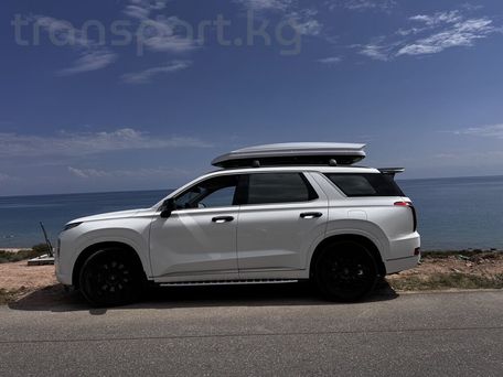 Hyundai Palisade, 2019 — сүрөт 10