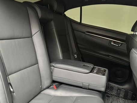 Lexus ES, 2017 — фото 11