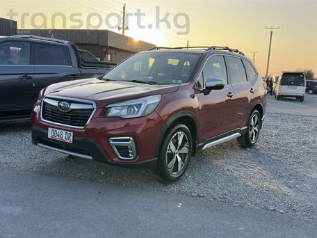 Subaru Forester, 2019 — photo 2