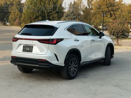 Lexus NX, 2022 — photo 5