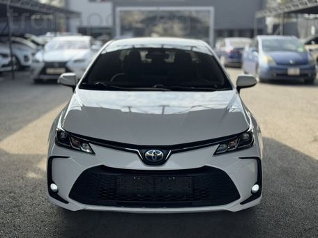 Toyota Corolla, 2023 — photo 2