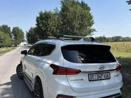 Hyundai Santa Fe, 2018 — фото 4