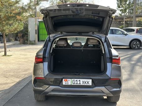 BYD Yuan Plus, 2024 — photo 17