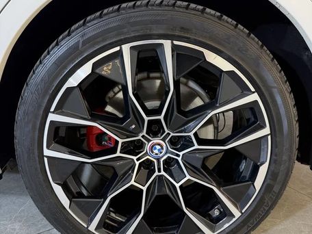 BMW X7, 2019 — 照片 9