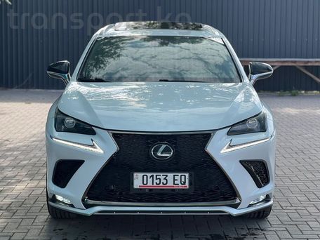 Lexus NX, 2020 — фото 18
