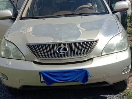 Lexus RX, 2007 — photo 1
