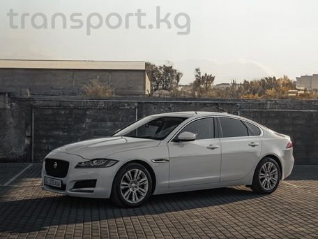 Jaguar XF, 2017 — фото 3