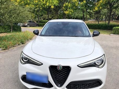 Alfa Romeo Stelvio, 2019 — сүрөт 5