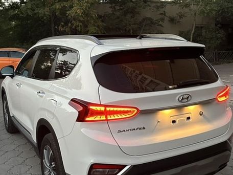 Hyundai Santa Fe, 2019 — фото 3