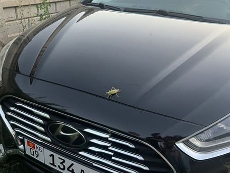 Hyundai Sonata, 2019 — photo 6