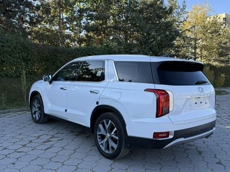 Hyundai Palisade, 2020 — photo 4