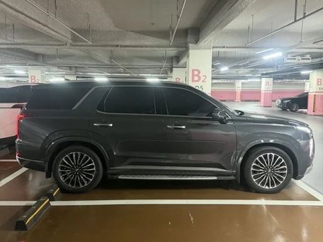 Hyundai Palisade, 2021 — photo 7