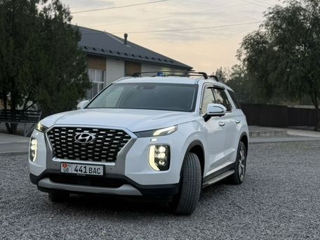 Hyundai Palisade, 2020 — сүрөт 1