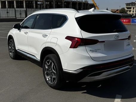 Hyundai Santa Fe, 2023 — фото 6