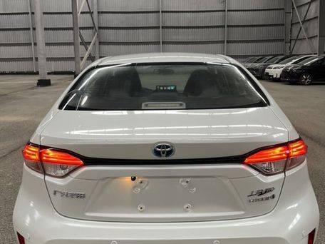 Toyota Levin, 2020 — сүрөт 2