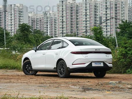 BYD Qin Pro, 2025 — фото 2