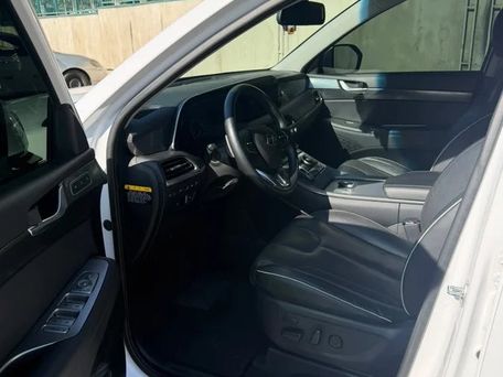 Hyundai Palisade, 2019 — photo 12