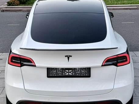 Tesla Model Y, 2023 — фото 2