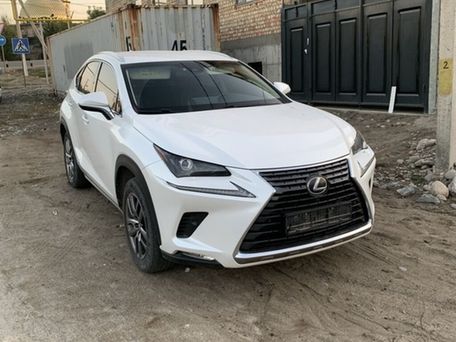 Lexus NX, 2018 — фото 2