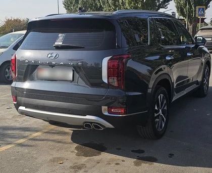 Hyundai Palisade, 2020 — 照片 6